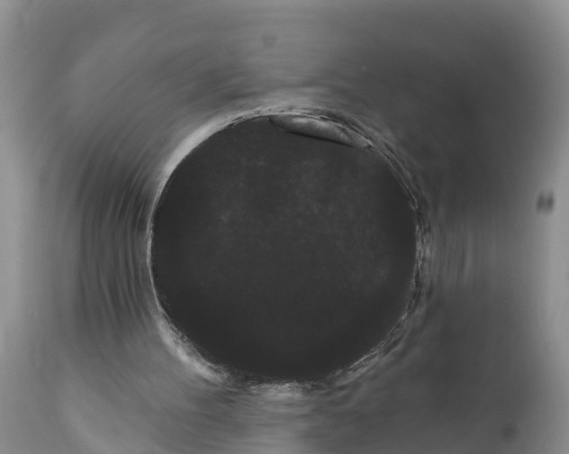 X0000111050100200907091643