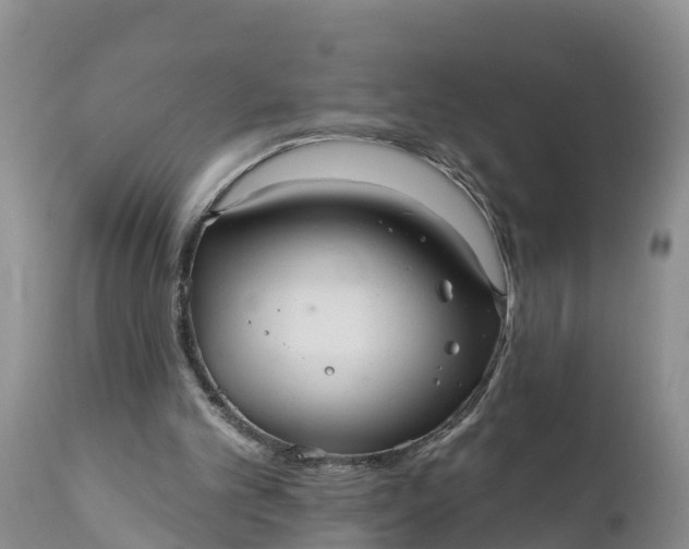 X0000111050101200907091643