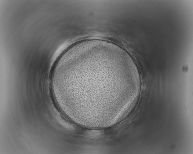 X0000111050102200907091643