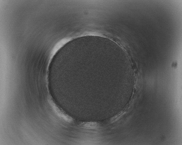 X0000111050104200907091643