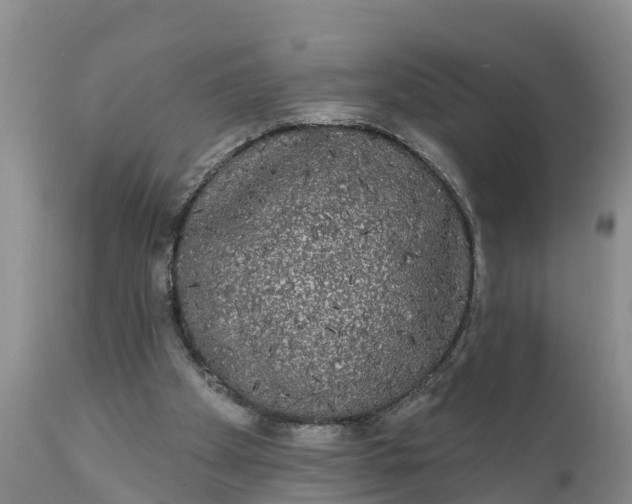 X0000111050105200907091643