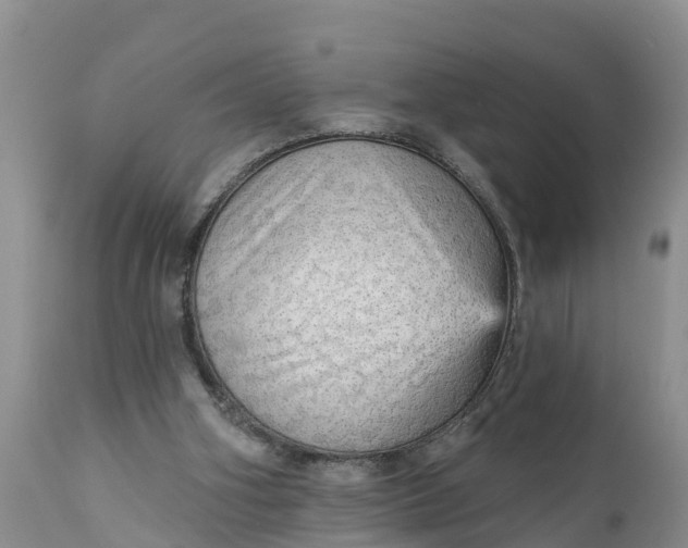 X0000111050106200907091643