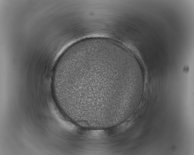 X0000111050108200907091643