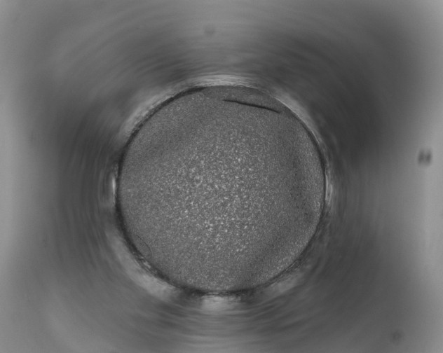 X0000111050109200907091643