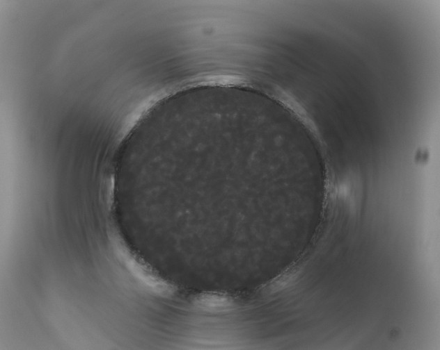 X0000111050110200907091643