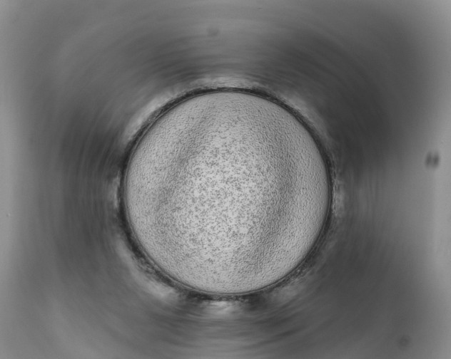 X0000111050111200907091643