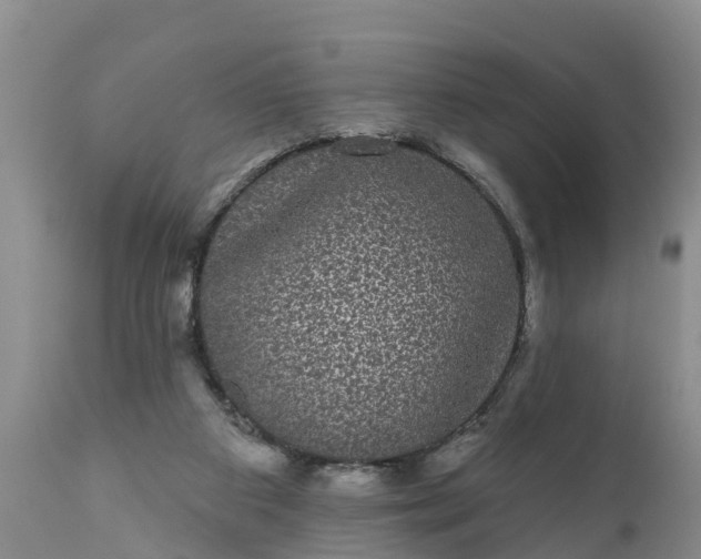 X0000111050113200907091643