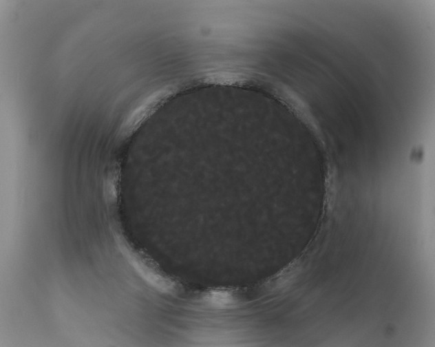 X0000111050114200907091643