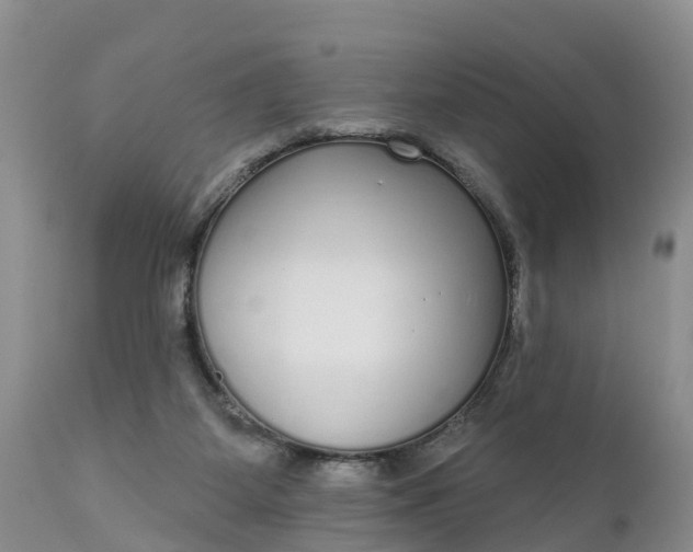 X0000111050115200907091643