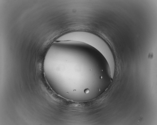 X0000111050117200907091643