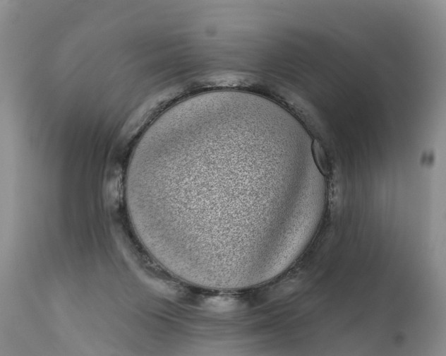 X0000111050119200907091643