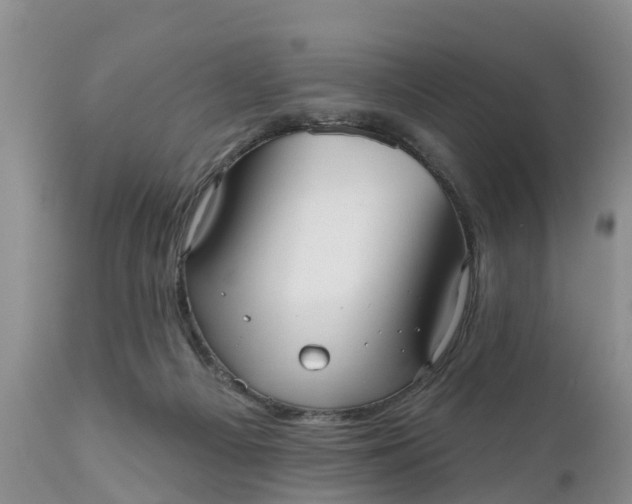 X0000111050121200907091643