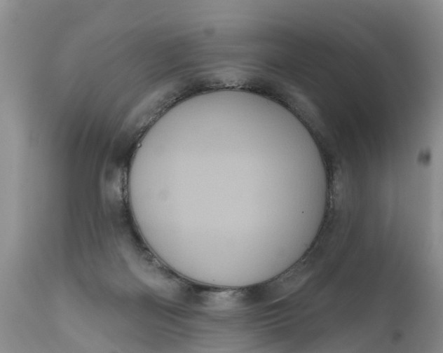 X0000111050122200907091643