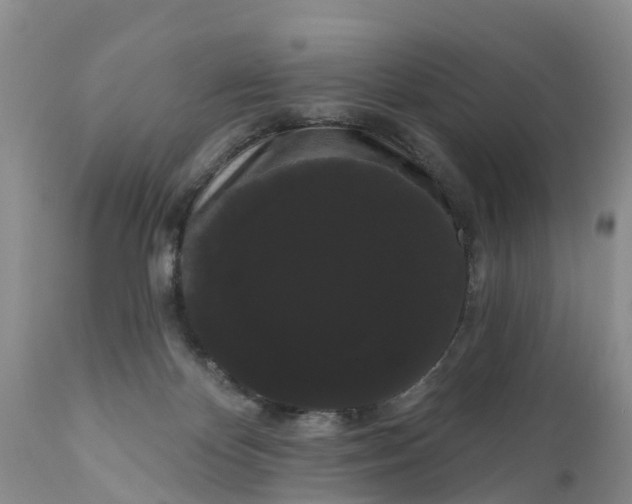 X0000111050124200907091643