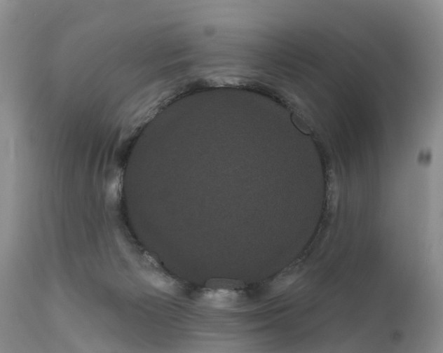 X0000111050125200907091643