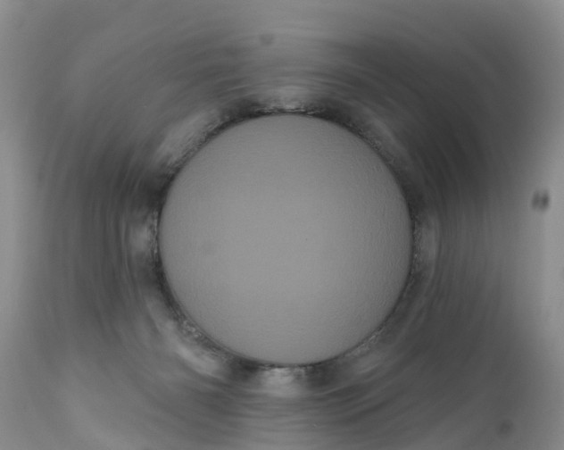 X0000111050126200907091643