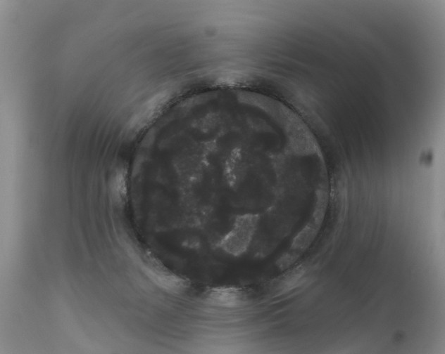 X0000111050127200907091643