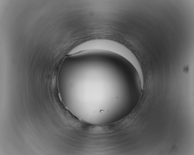 X0000111050129200907091643