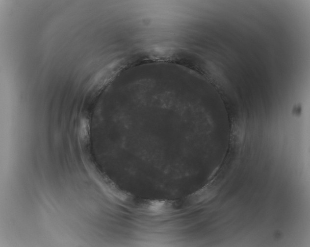 X0000111050130200907091643