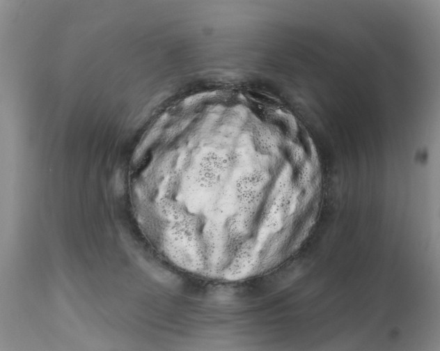 X0000111050131200907091643