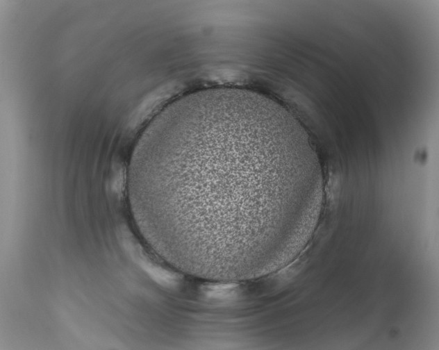 X0000111050132200907091643