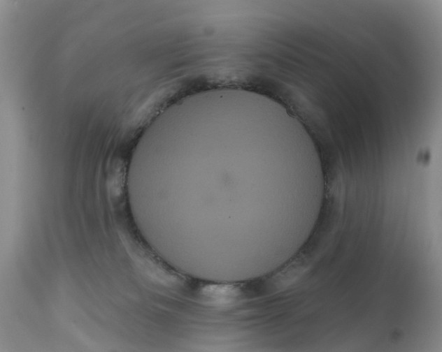 X0000111050133200907091643