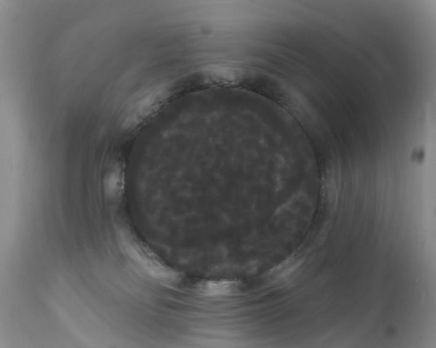 X0000111050134200907091642