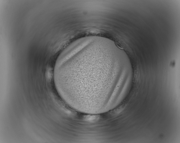 X0000111050135200907091642