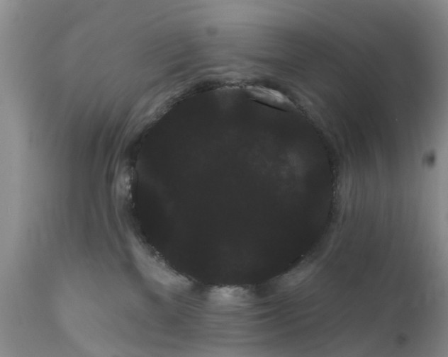 X0000111050137200907091642