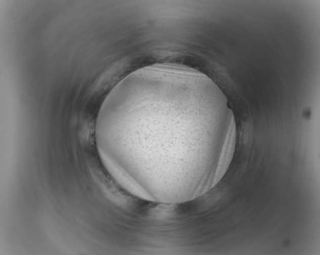 X0000111050138200907091642