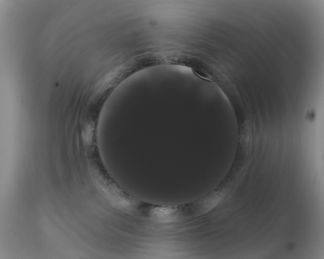 X0000111050139200907091642