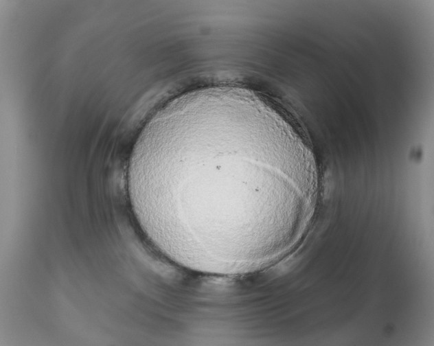 X0000111050140200907091642