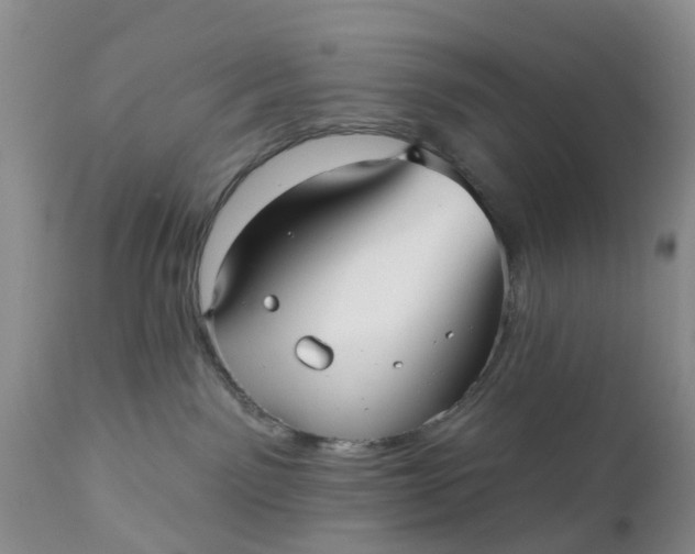 X0000111050141200907091642