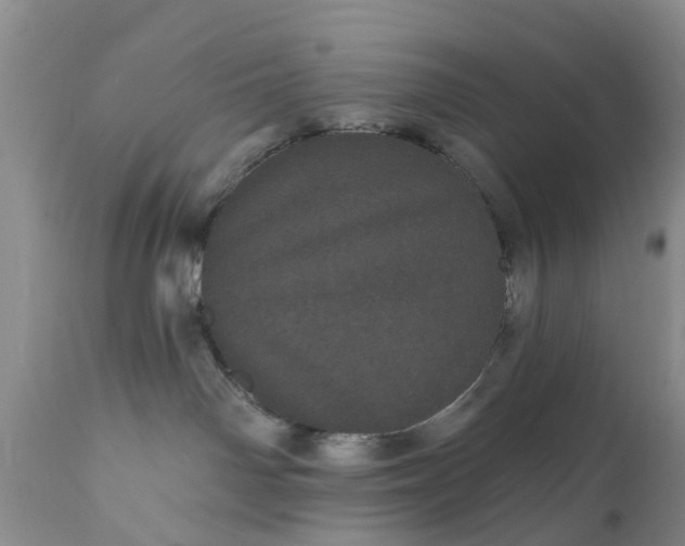 X0000111050142200907091642