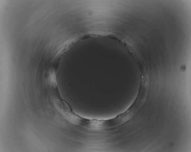 X0000111050143200907091642