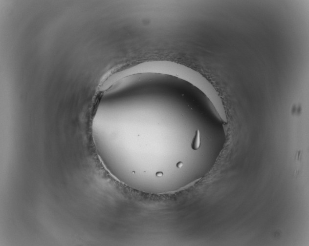 X0000111050144200907091642