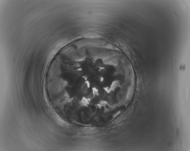 X0000111050145200907091642