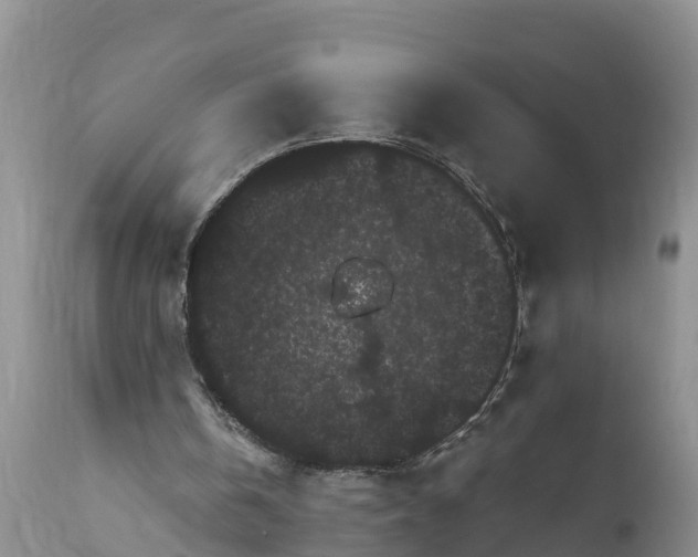 X0000111050146200907091642