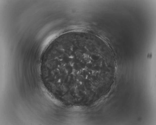 X0000111050149200907091642