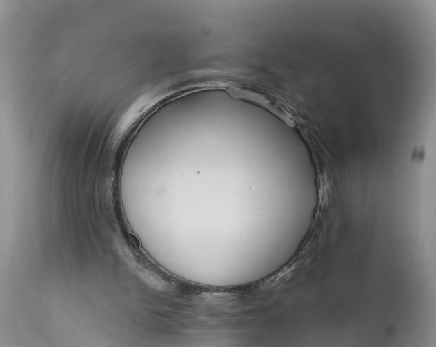 X0000111050150200907091642