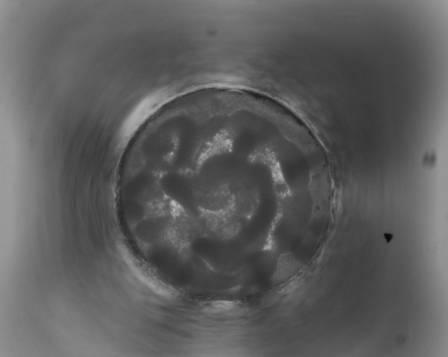 X0000111050151200907091642