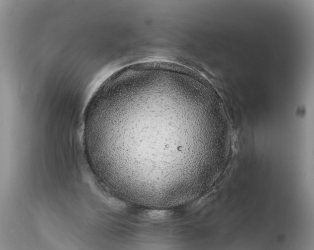 X0000111050152200907091642