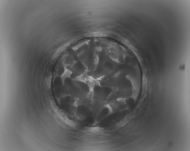 X0000111050153200907091642