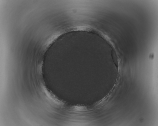 X0000111050154200907091642