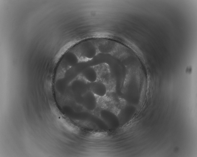 X0000111050155200907091642