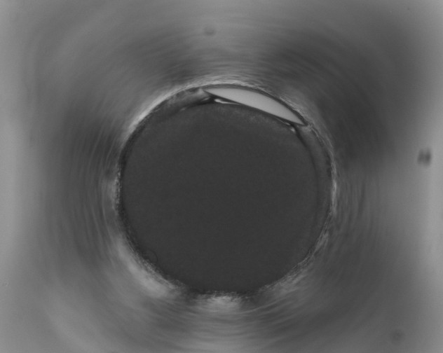 X0000111050156200907091642