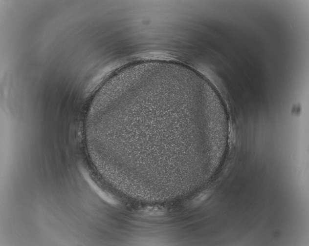 X0000111050157200907091642