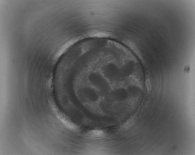 X0000111050159200907091642