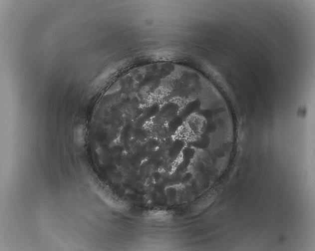 X0000111050161200907091642