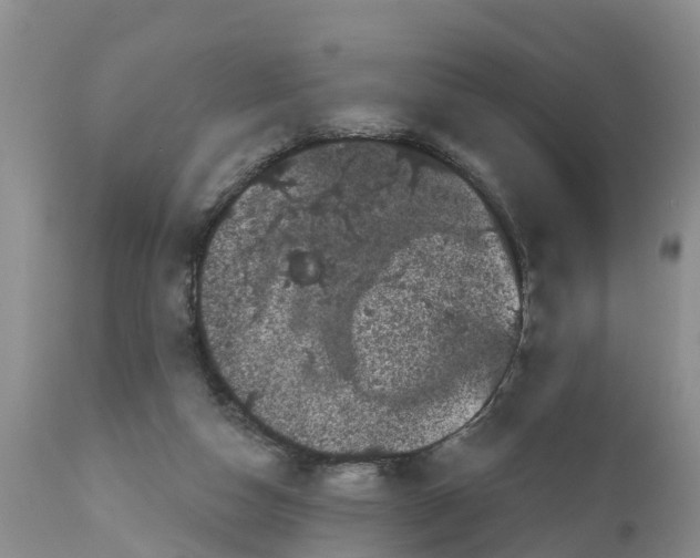 X0000111050162200907091642